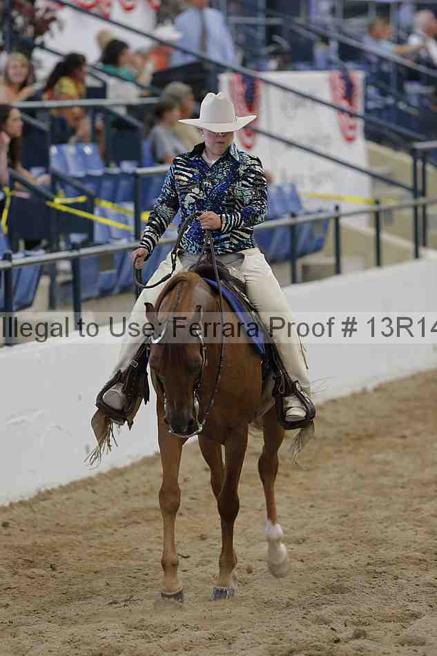 Proof Number 13r14_1213