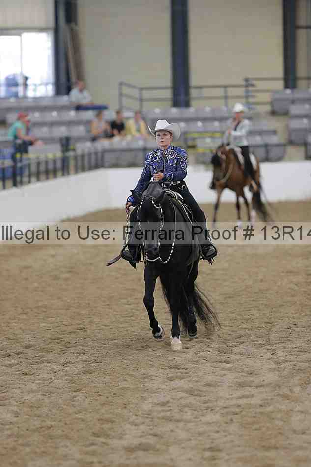Proof Number 13r14_1217