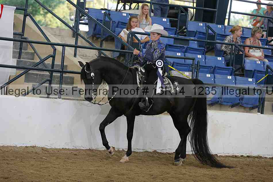 Proof Number 13r14_1235
