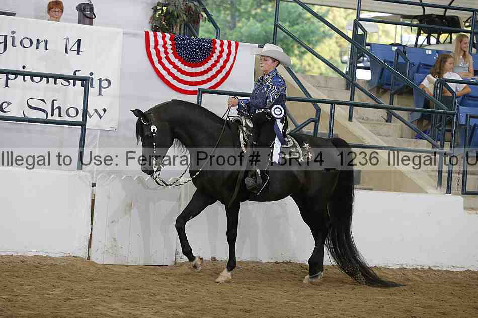 Proof Number 13r14_1236