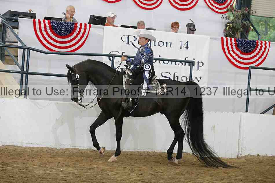Proof Number 13r14_1237
