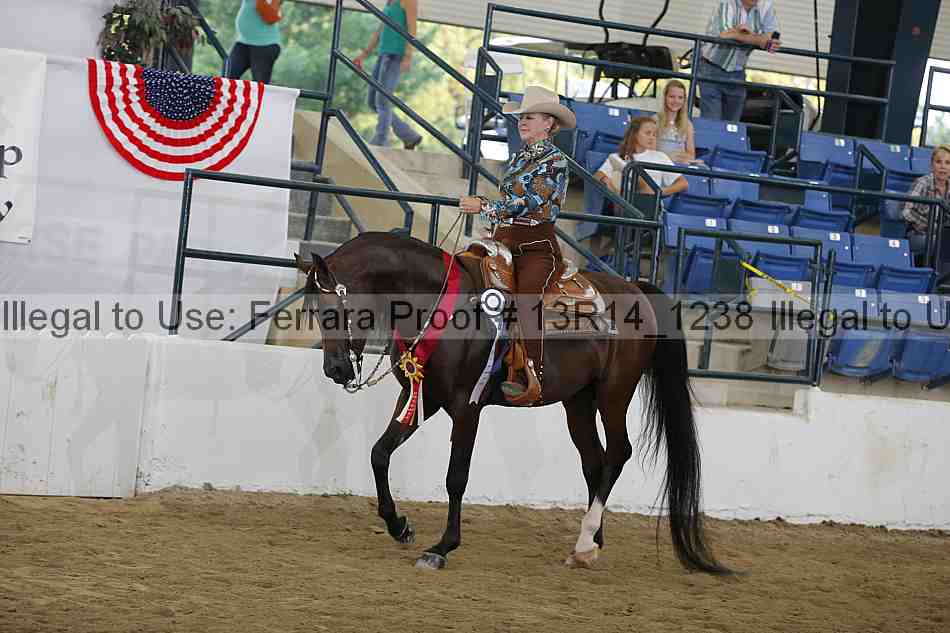 Proof Number 13r14_1238