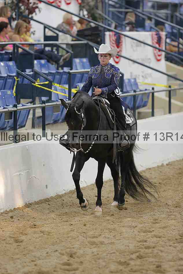 Proof Number 13r14_1241