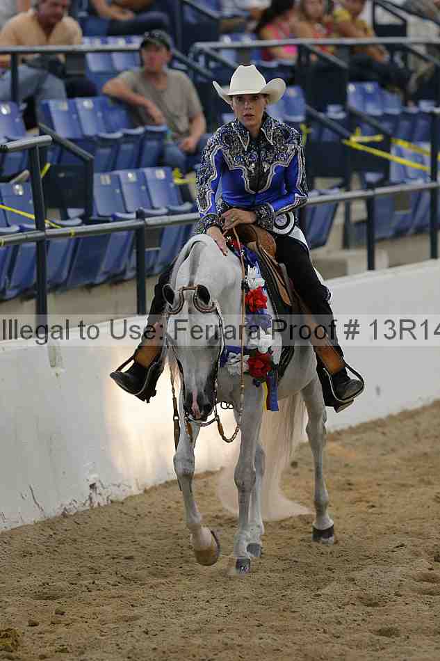 Proof Number 13r14_1249
