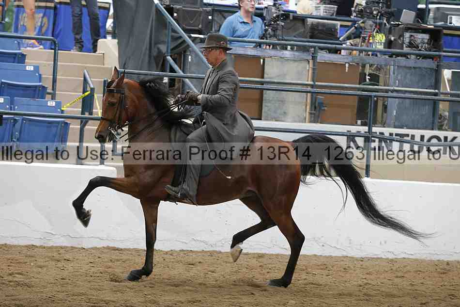 Proof Number 13r14_1263