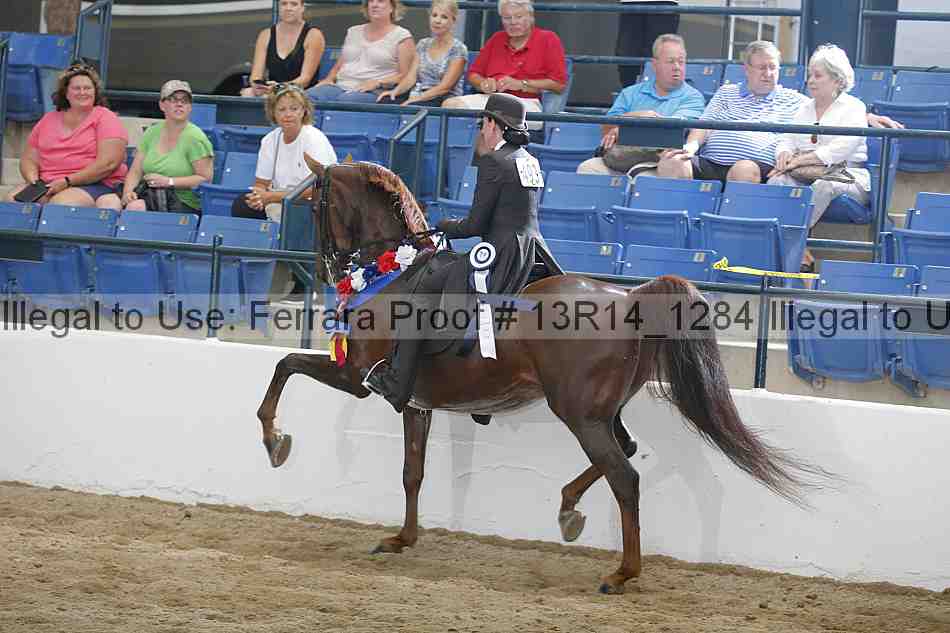 Proof Number 13r14_1284