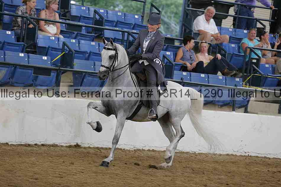 Proof Number 13r14_1290