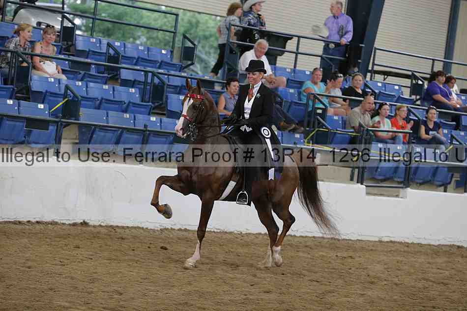 Proof Number 13r14_1296