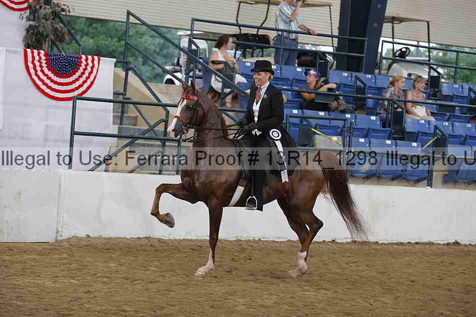 Proof Number 13r14_1298