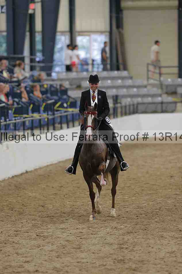 Proof Number 13r14_1301