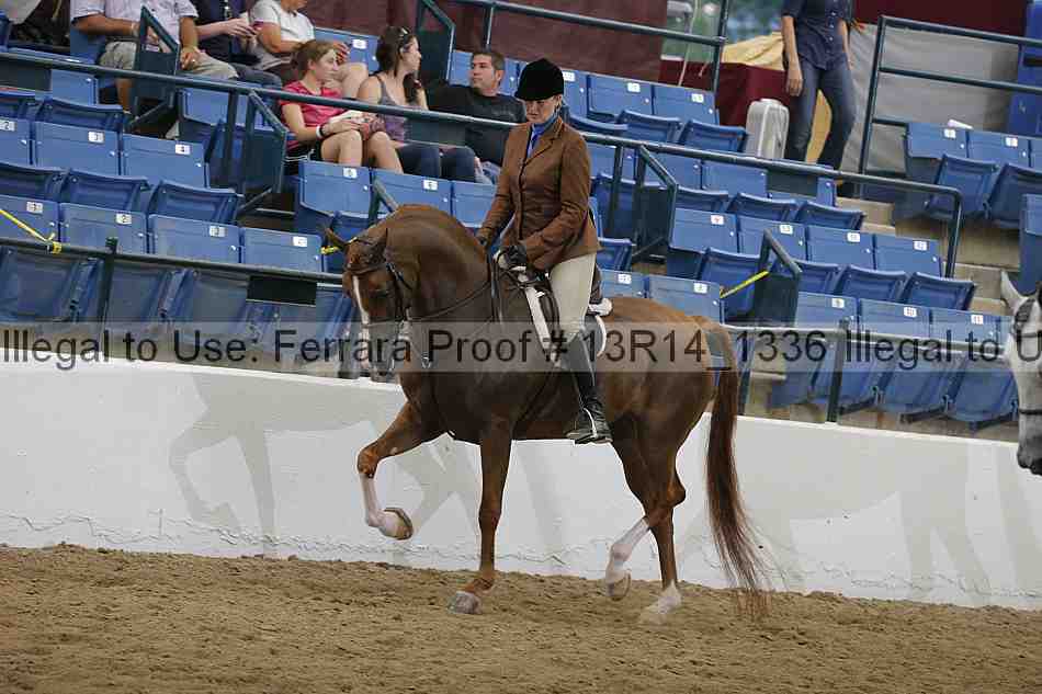 Proof Number 13r14_1336