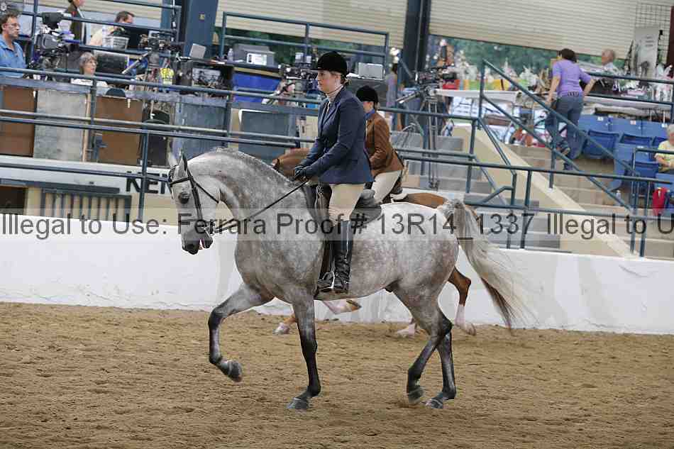 Proof Number 13r14_1337