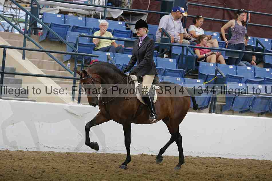 Proof Number 13r14_1344