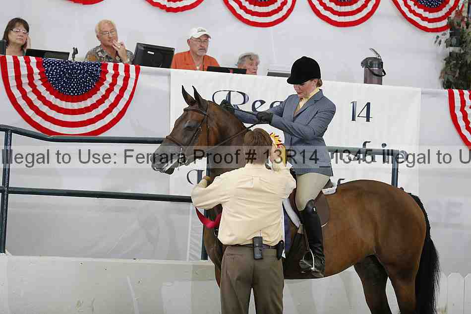 Proof Number 13r14_1345