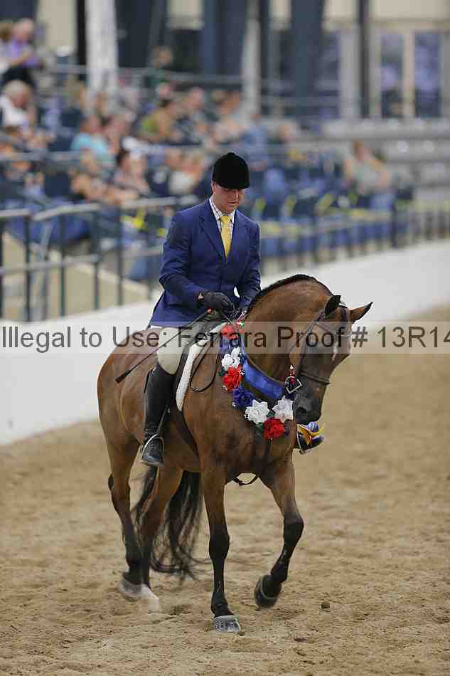 Proof Number 13r14_1354