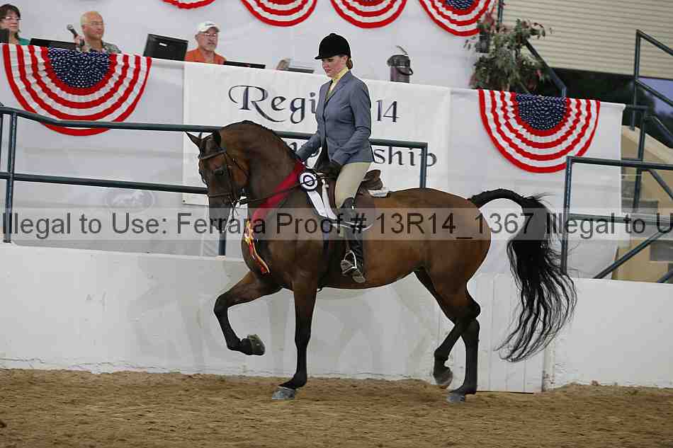 Proof Number 13r14_1367