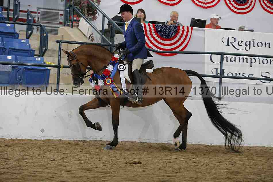 Proof Number 13r14_1370