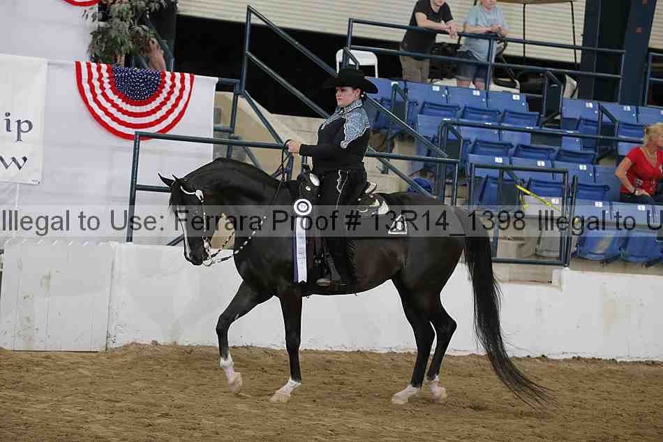Proof Number 13r14_1398