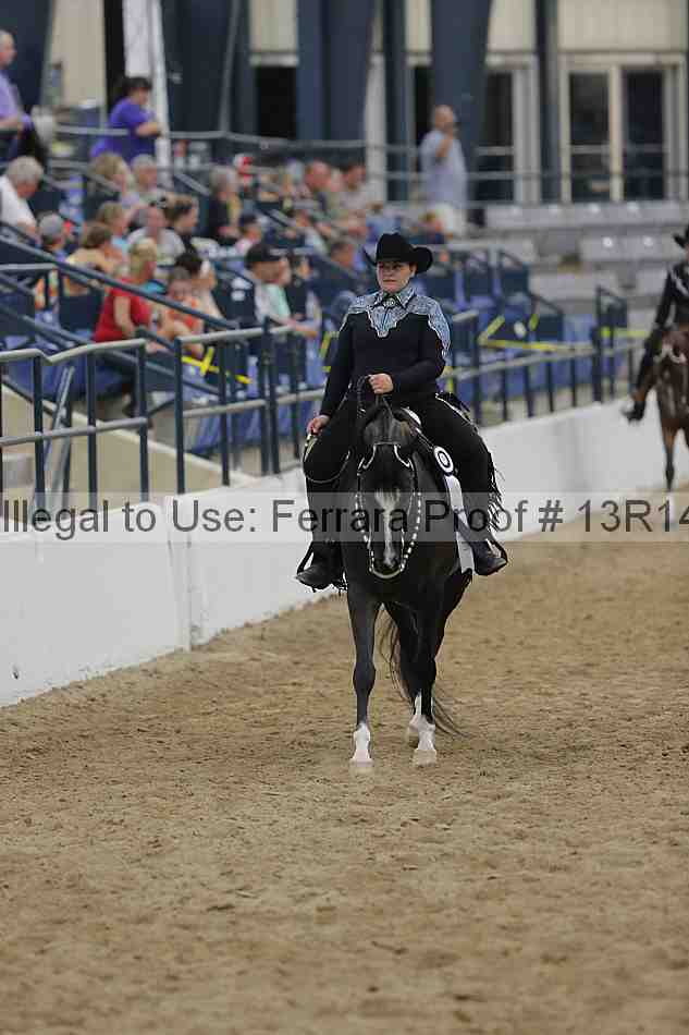 Proof Number 13r14_1400