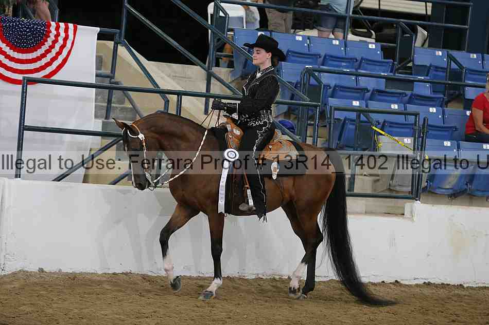 Proof Number 13r14_1402