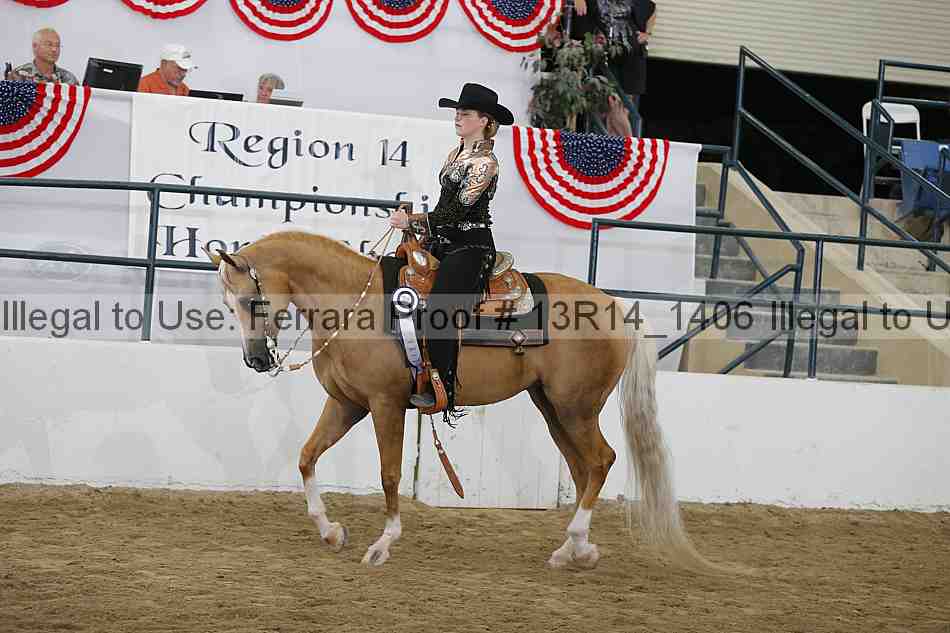 Proof Number 13r14_1406