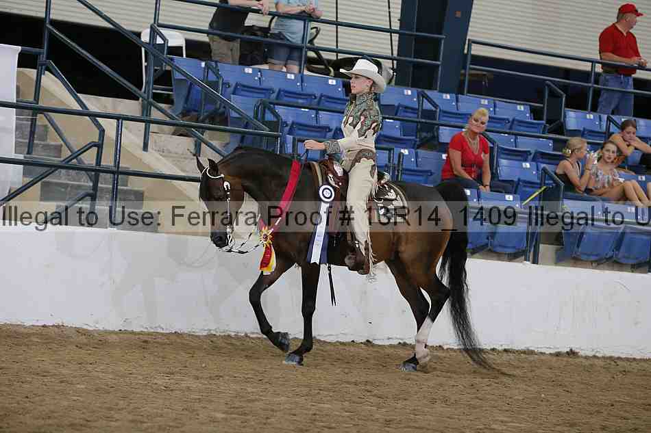 Proof Number 13r14_1409