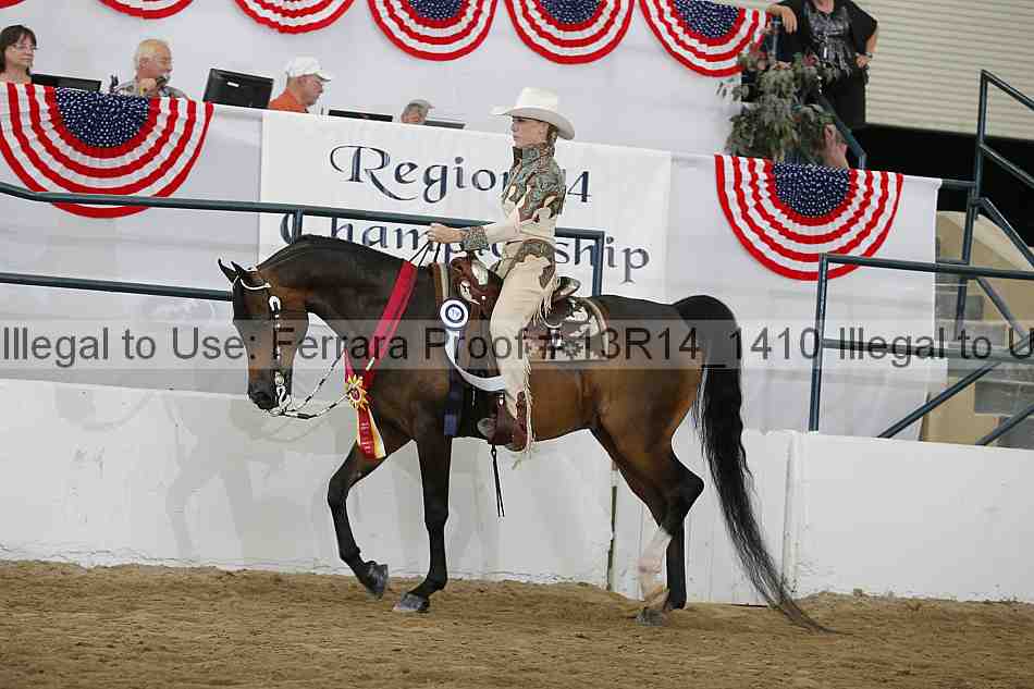 Proof Number 13r14_1410