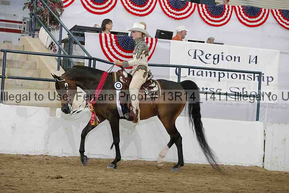 Proof Number 13r14_1411