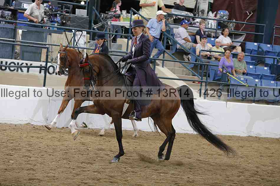 Proof Number 13r14_1426