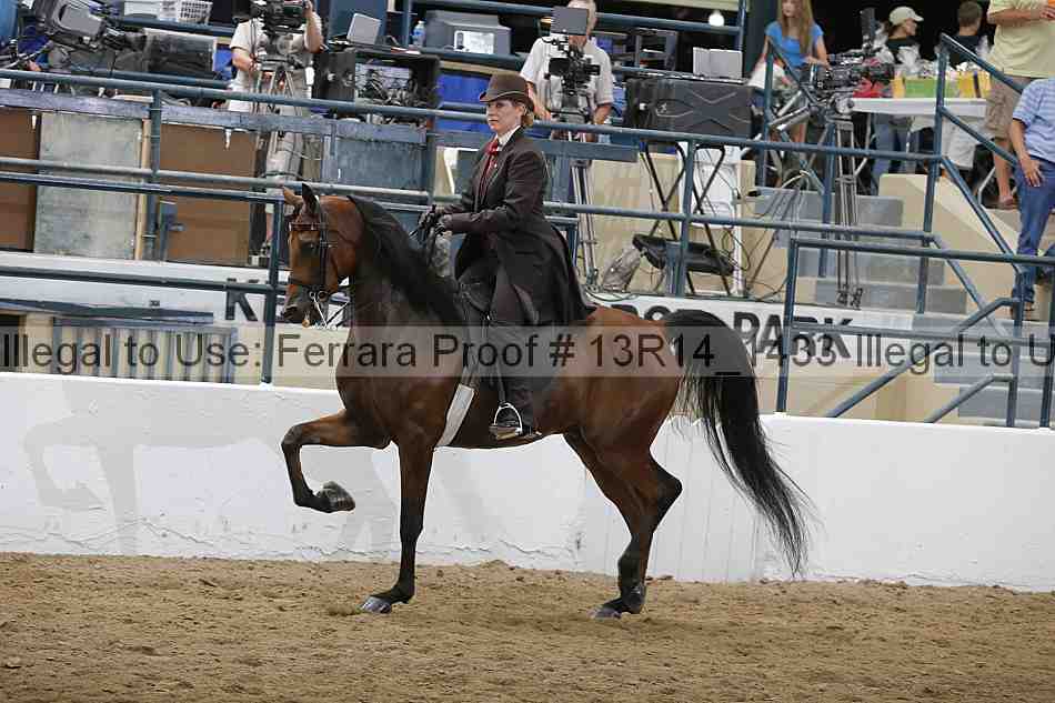 Proof Number 13r14_1433