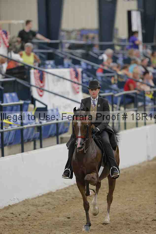 Proof Number 13r14_1436