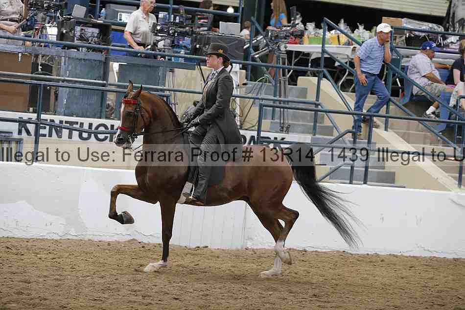Proof Number 13r14_1439