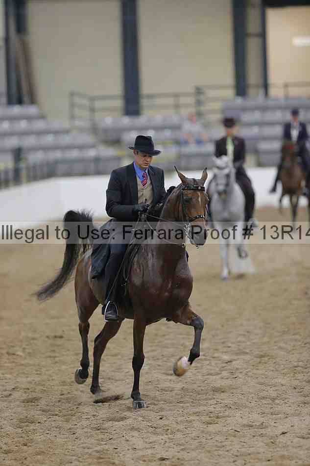 Proof Number 13r14_1447