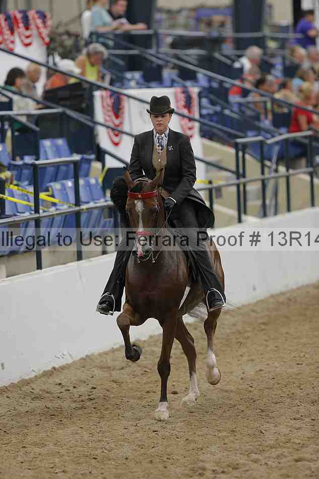 Proof Number 13r14_1454
