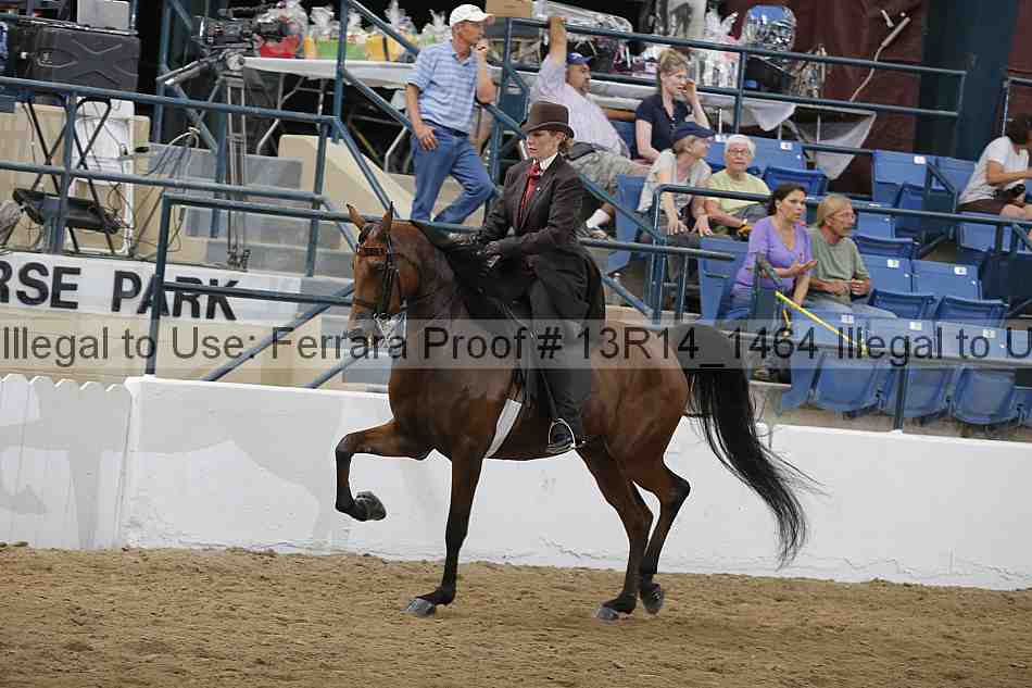 Proof Number 13r14_1464