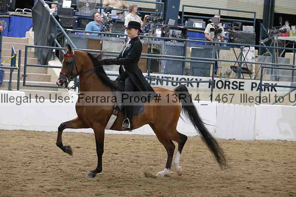 Proof Number 13r14_1467