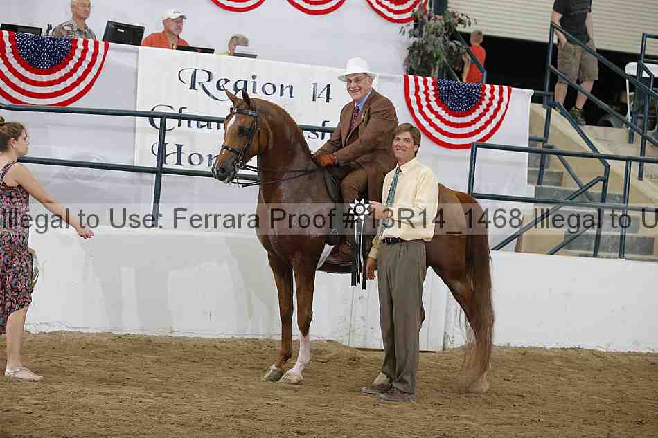 Proof Number 13r14_1468
