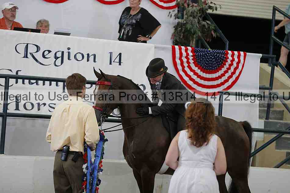 Proof Number 13r14_1472