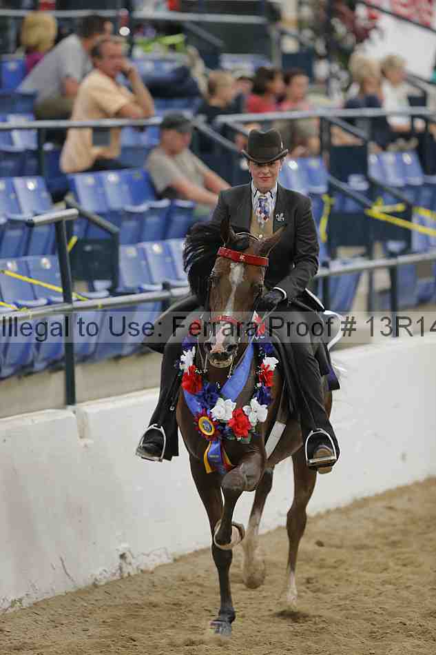 Proof Number 13r14_1475