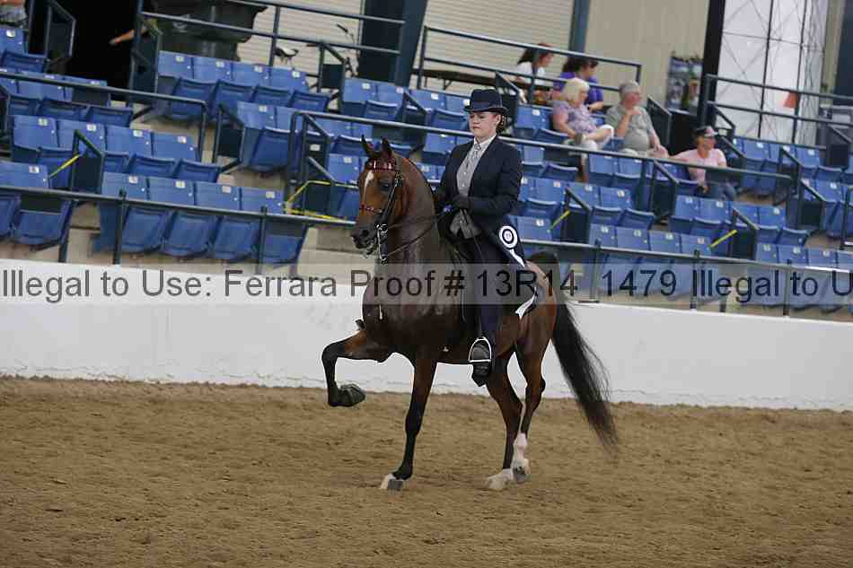 Proof Number 13r14_1479