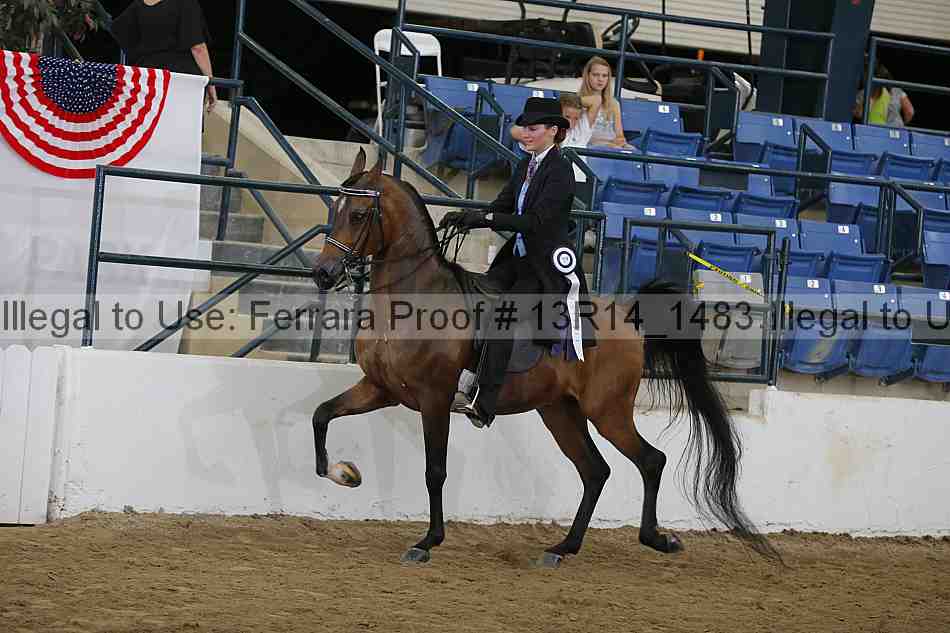 Proof Number 13r14_1483