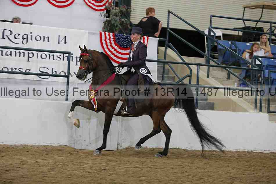Proof Number 13r14_1487