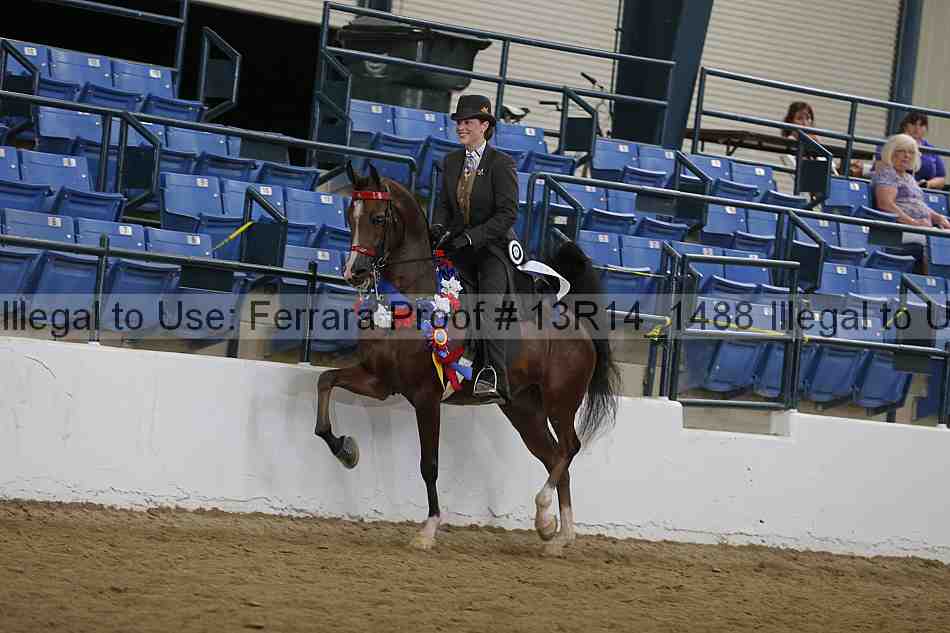 Proof Number 13r14_1488