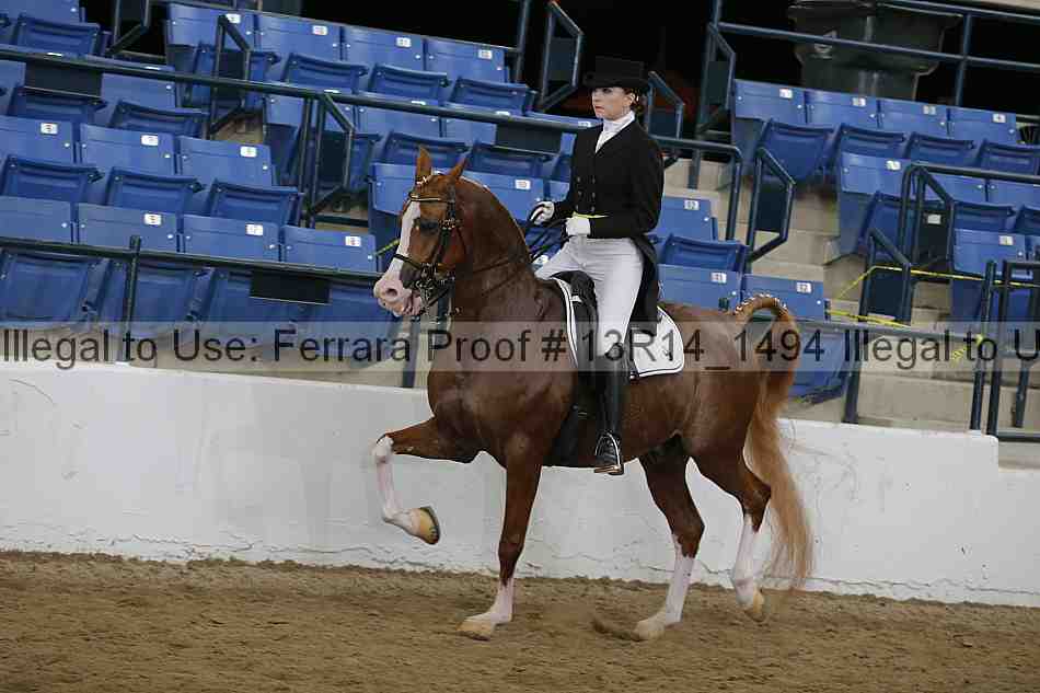 Proof Number 13r14_1494