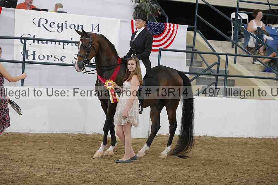 Proof Number 13r14_1497