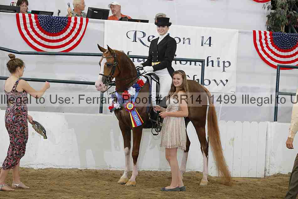Proof Number 13r14_1499