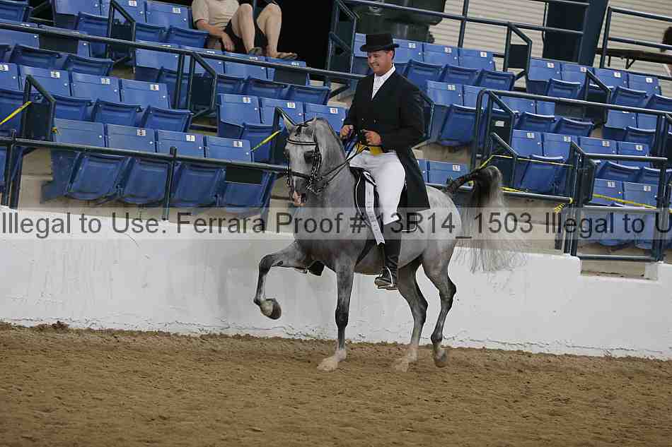 Proof Number 13r14_1503