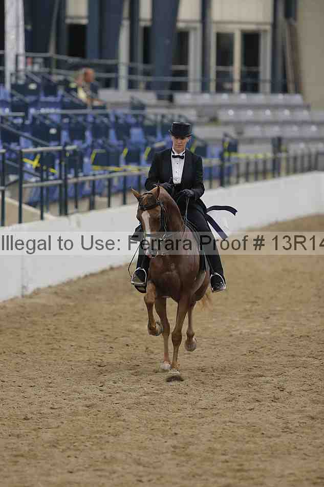 Proof Number 13r14_1539