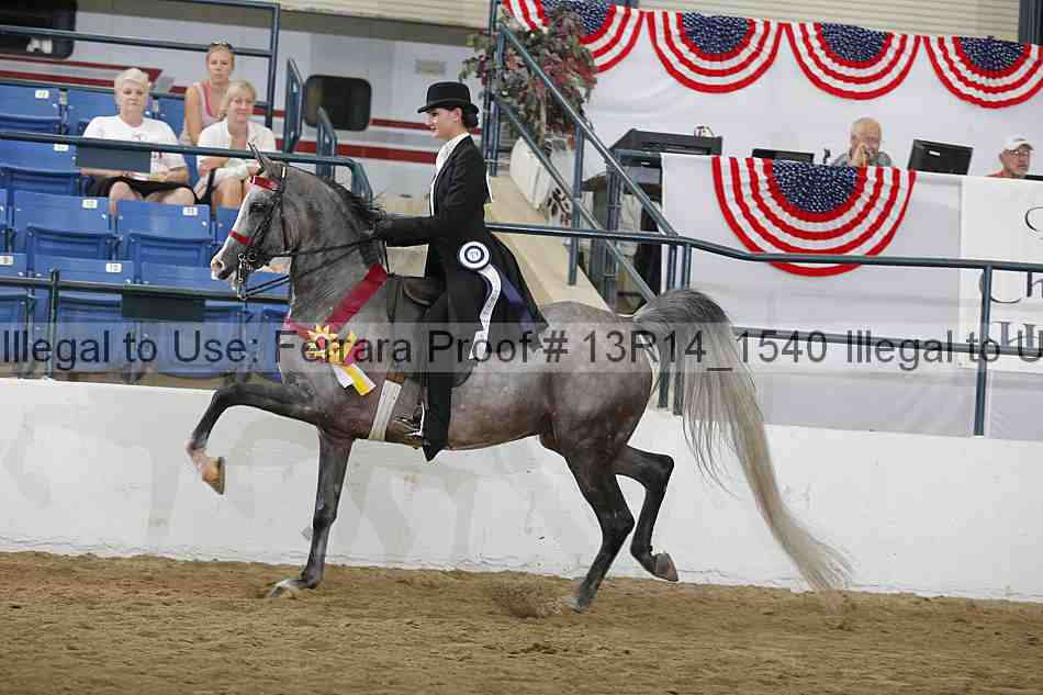 Proof Number 13r14_1540