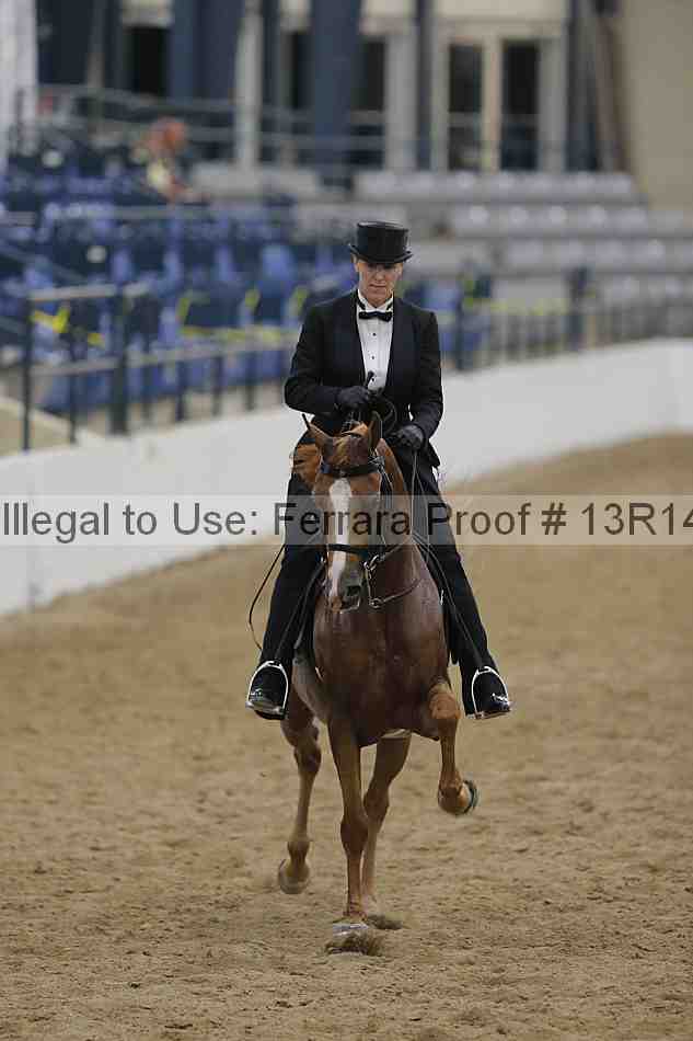 Proof Number 13r14_1541